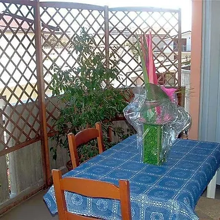 Oasi 4*
